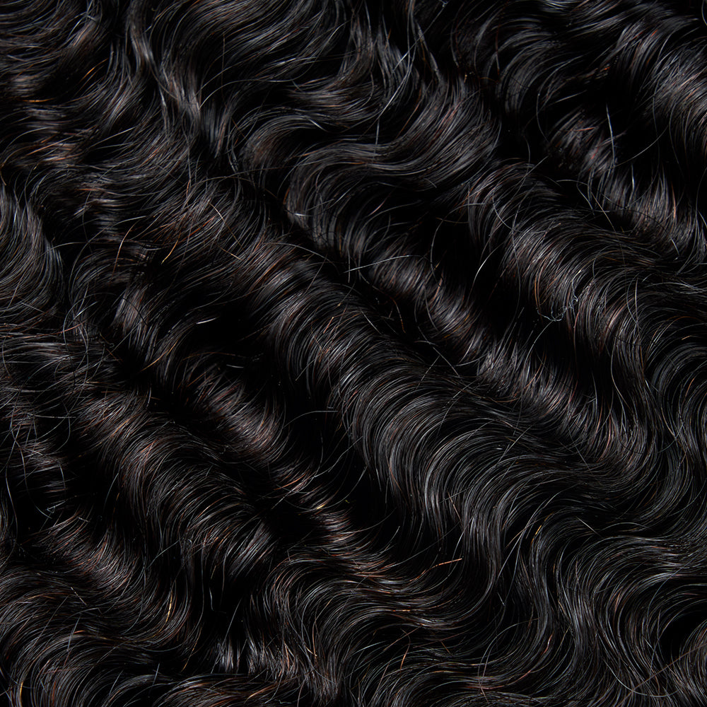 13A BURMESE CURL BUNDLE